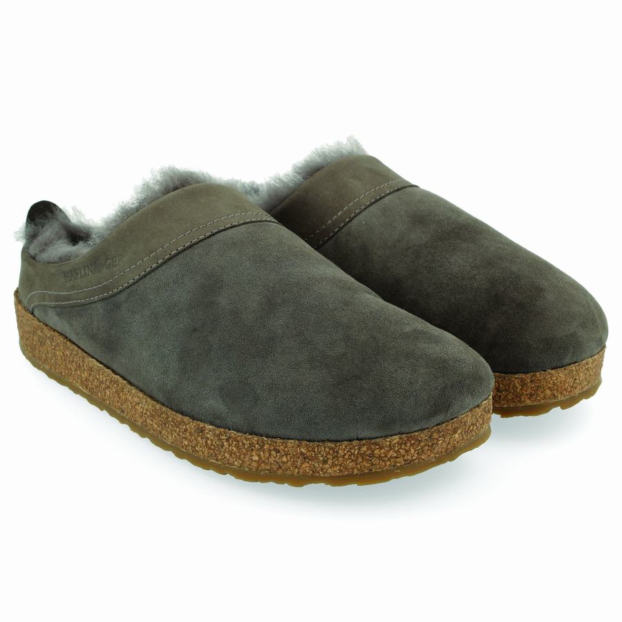 Haflinger Snowbird Clogs Herren Grün | RBN6724HV