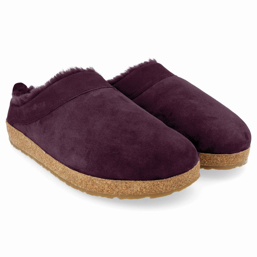 Haflinger Snowbird Clogs Herren Lila | LGU345HX