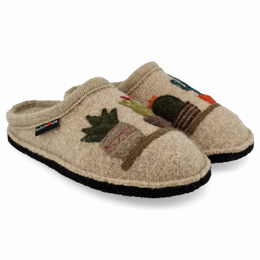 Haflinger Cactus Novelty Hausschuhe Damen Beige | HBI4849SY