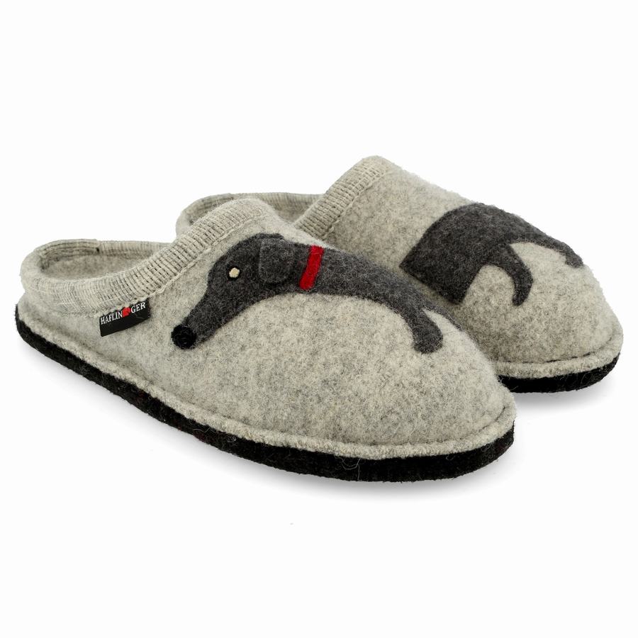 Haflinger Doggy Novelty Hausschuhe Damen Silber Grau | KFT3071DZ