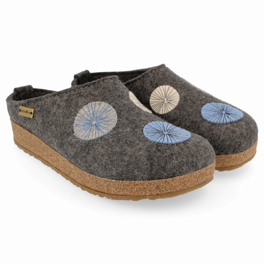 Haflinger Radius Clogs Herren Grau | FTV2195RK