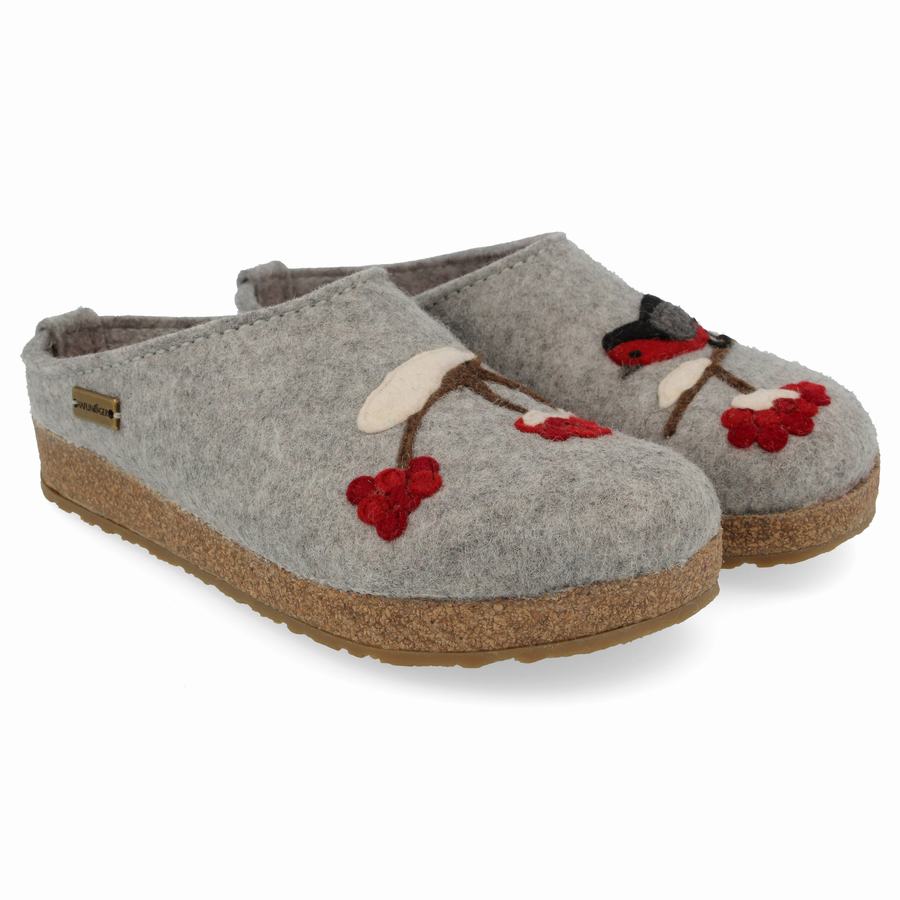 Haflinger Winterbird Clogs Damen Silber Grau | MDP2289LR